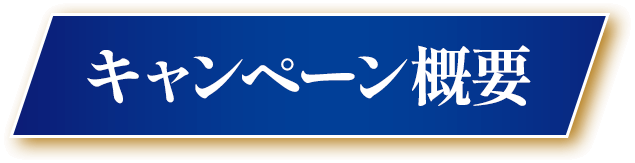 キャンペーン概要